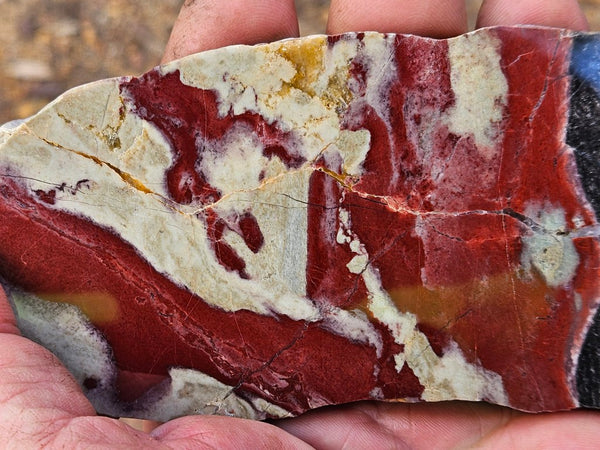 Polished Convoluted Jasper slab CJ102