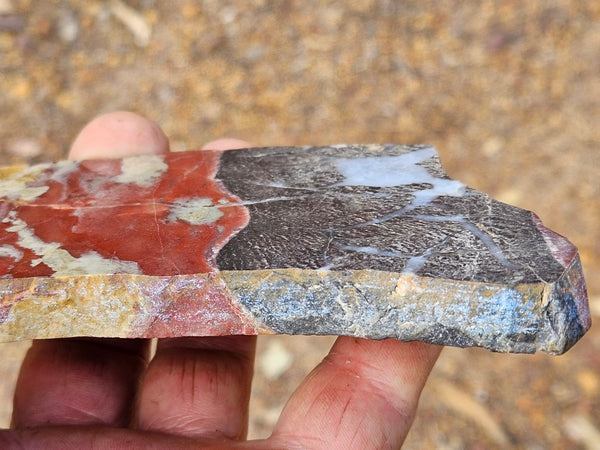Polished Convoluted Jasper slab CJ102