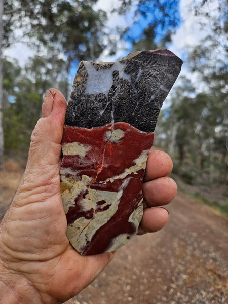 Polished Convoluted Jasper slab CJ102