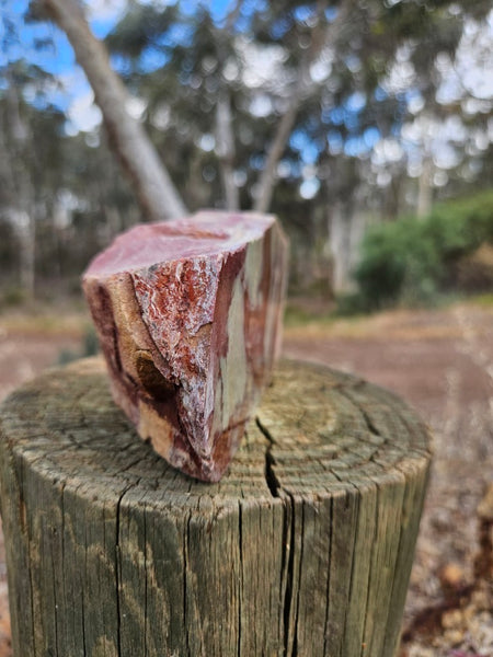 Polished Convoluted Jasper  CJ104