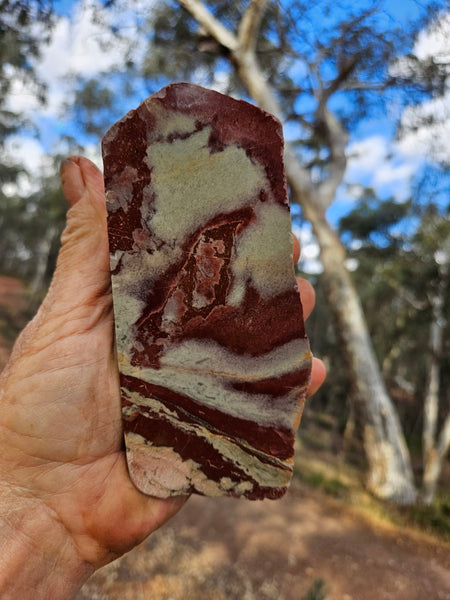 Polished Convoluted Jasper  CJ104