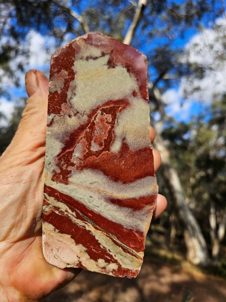 Polished Convoluted Jasper  CJ104