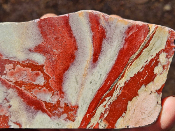 Polished Convoluted Jasper  CJ104