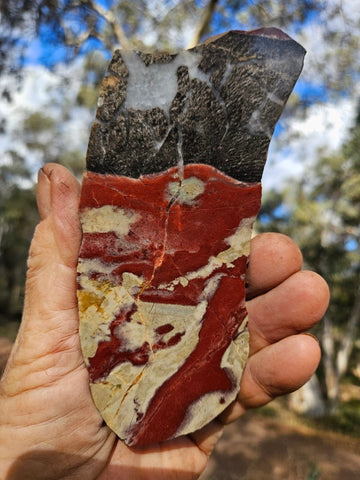 Polished Convoluted Jasper slab CJ102