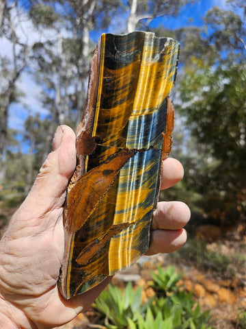 Polished African Tiger Eye slab TEA115