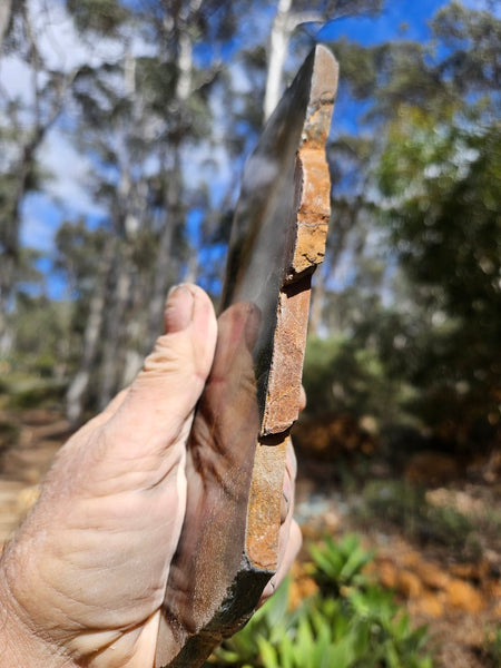 Polished African Tiger Eye slab TEA115