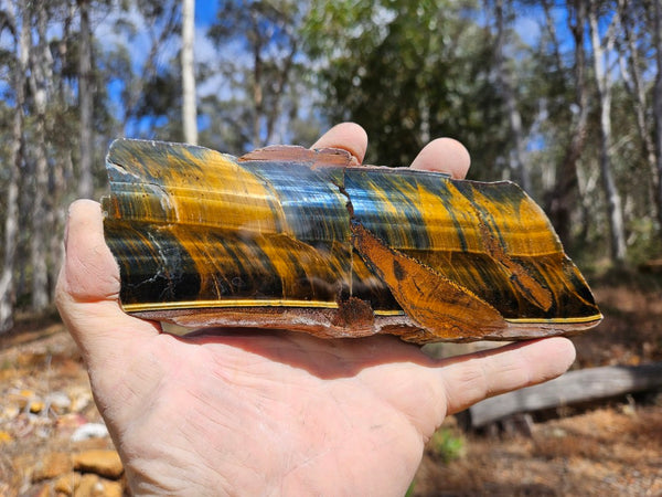 Polished African Tiger Eye slab TEA115