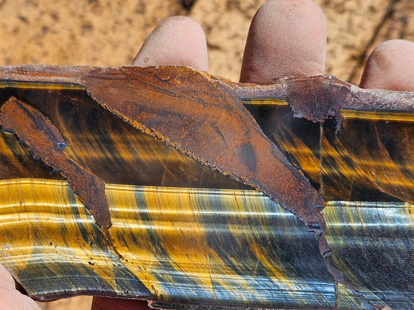 Polished African Tiger Eye slab TEA115