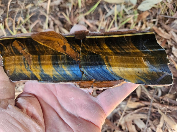 Polished African Tiger Eye slab TEA115