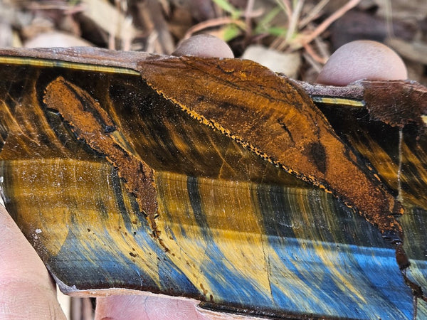 Polished African Tiger Eye slab TEA115