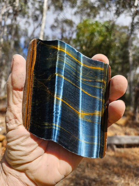 Polished African Tiger Eye slab TEA113