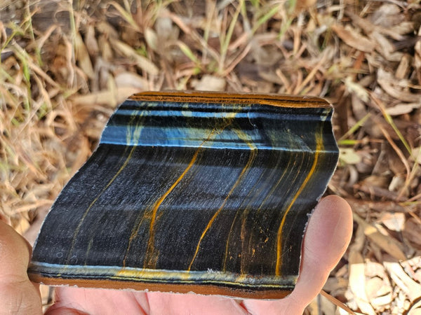 Polished African Tiger Eye slab TEA113