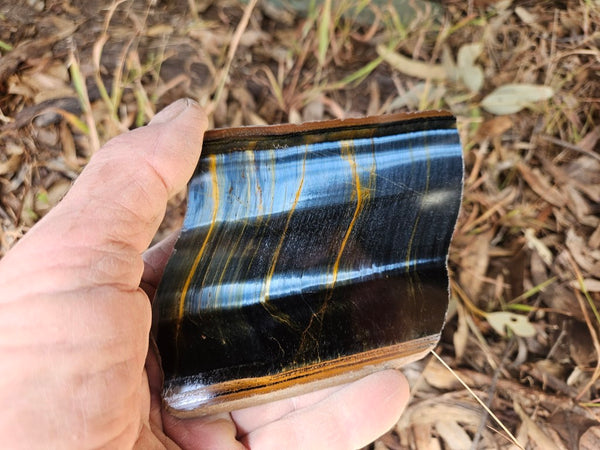 Polished African Tiger Eye slab TEA113