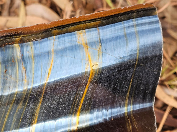 Polished African Tiger Eye slab TEA113