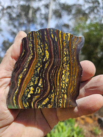 Polished Tiger Iron  TI393