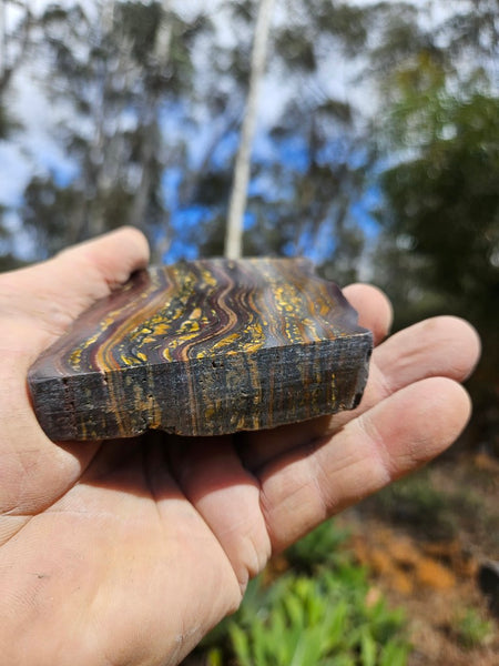 Polished Tiger Iron  TI393