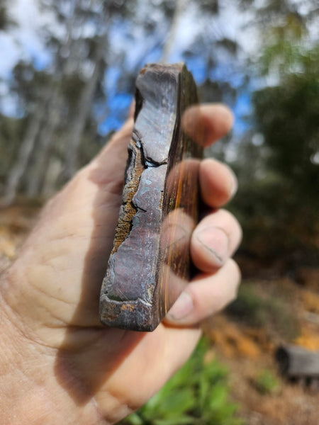 Polished Tiger Iron  TI393