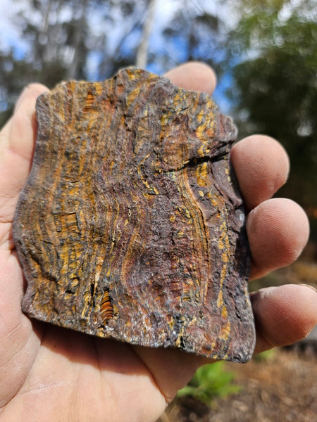 Polished Tiger Iron  TI393