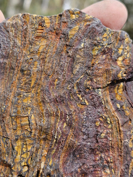 Polished Tiger Iron  TI393