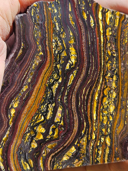 Polished Tiger Iron  TI393