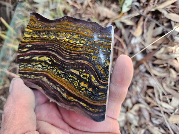 Polished Tiger Iron  TI393