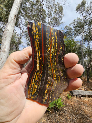 Polished Tiger Iron slab TI391