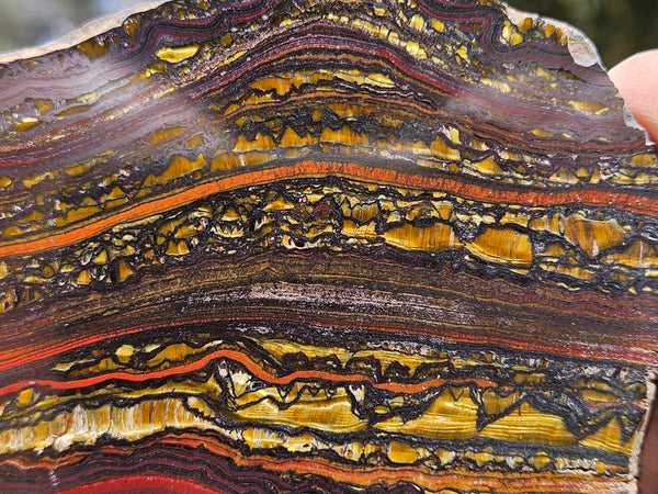 Polished Tiger Iron slab TI391