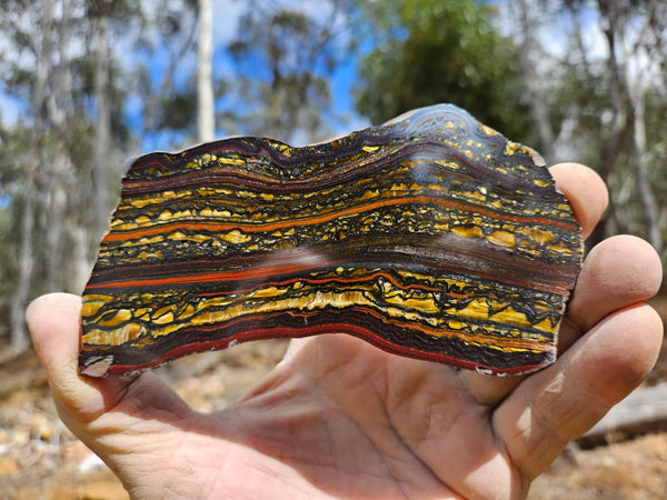 Polished Tiger Iron slab TI391