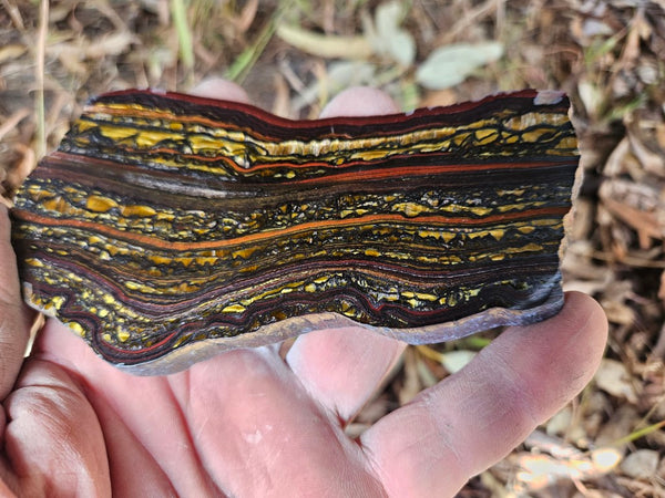 Polished Tiger Iron slab TI391