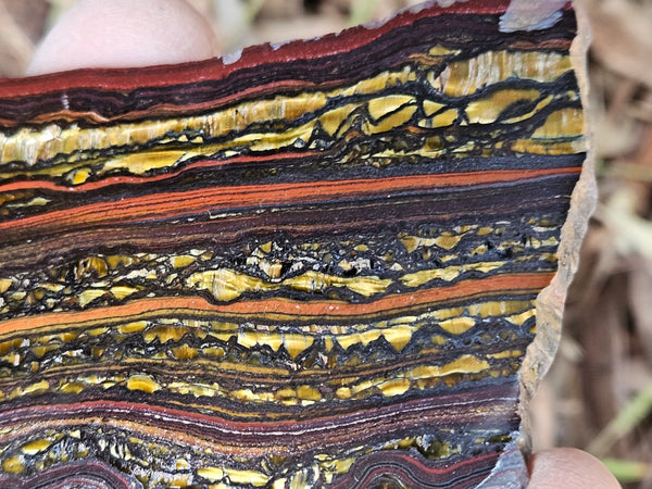 Polished Tiger Iron slab TI391