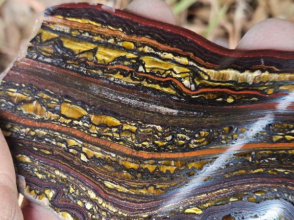 Polished Tiger Iron slab TI391