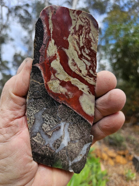 Polished Convoluted Jasper slab CJ105