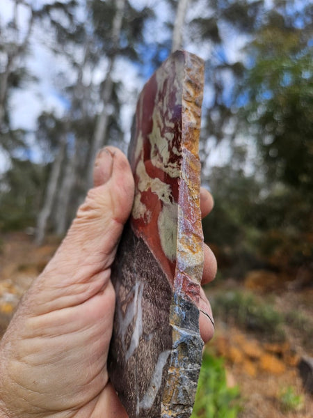 Polished Convoluted Jasper slab CJ105