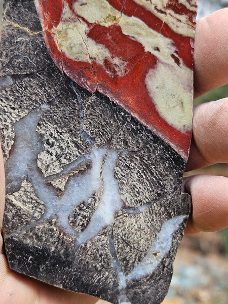 Polished Convoluted Jasper slab CJ105