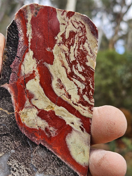 Polished Convoluted Jasper slab CJ105