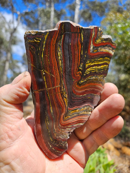 Polished Tiger Iron slab TI388