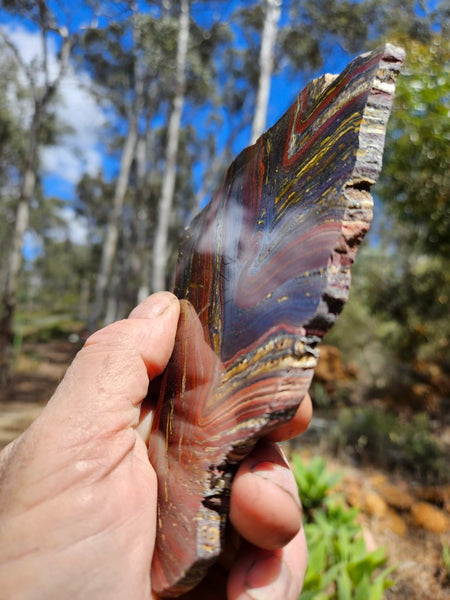 Polished Tiger Iron slab TI388