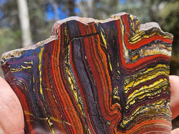 Polished Tiger Iron slab TI388