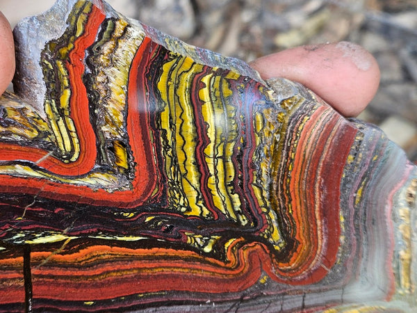 Polished Tiger Iron slab TI388