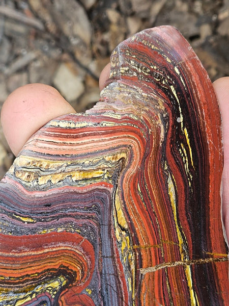 Polished Tiger Iron slab TI388