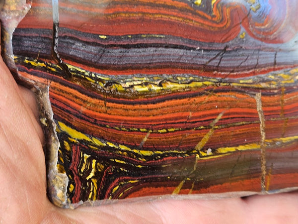 Polished Tiger Iron slab TI388