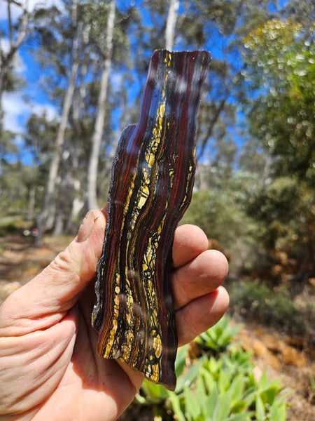 Polished Tiger Iron slab TI389