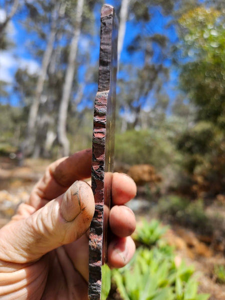 Polished Tiger Iron slab TI389