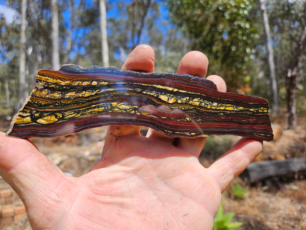 Polished Tiger Iron slab TI389