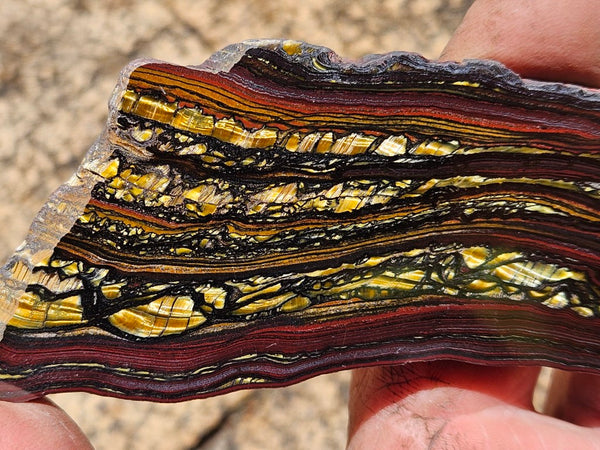 Polished Tiger Iron slab TI389