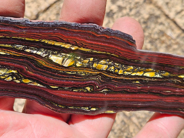 Polished Tiger Iron slab TI389