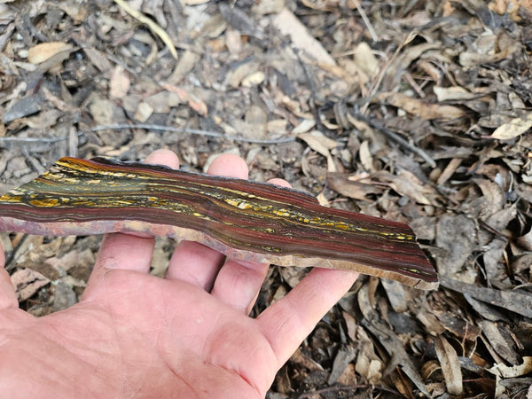 Polished Tiger Iron slab TI389