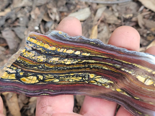 Polished Tiger Iron slab TI389