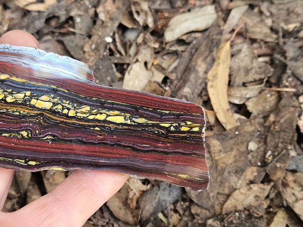 Polished Tiger Iron slab TI389