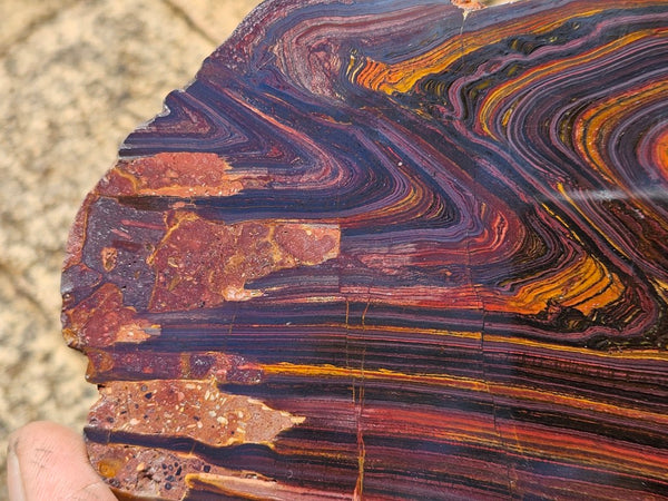 Polished Tiger Iron slab TI392